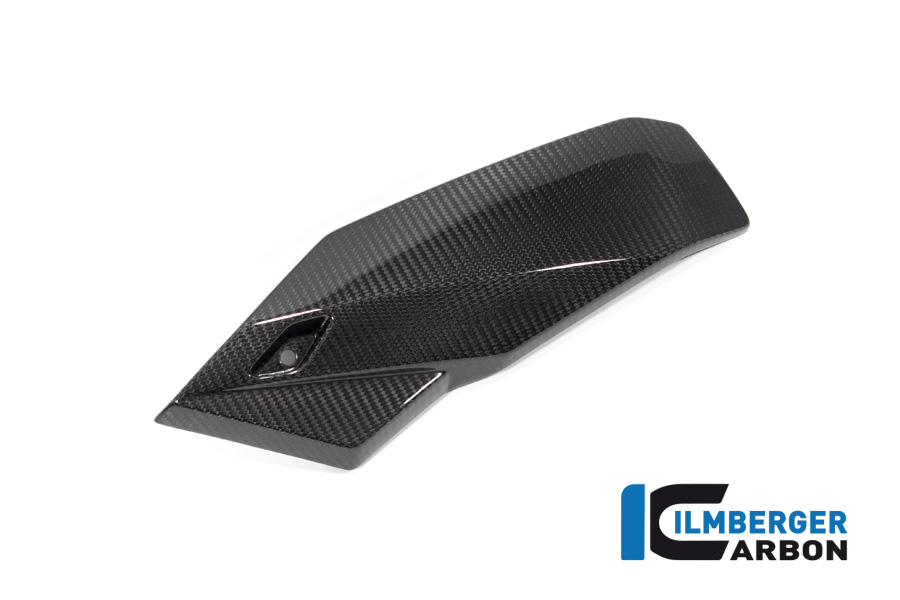 Motorspoiler links BMW S 1000 R ab 2021 / M 1000 R ab 2023