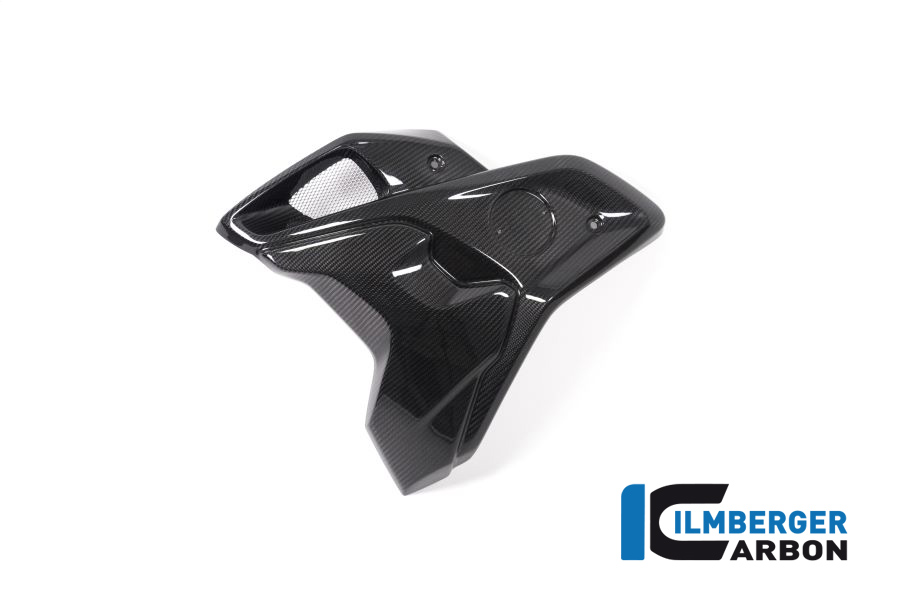 Windkanal links incl Flap (2tlg) BMW R 1250 GS